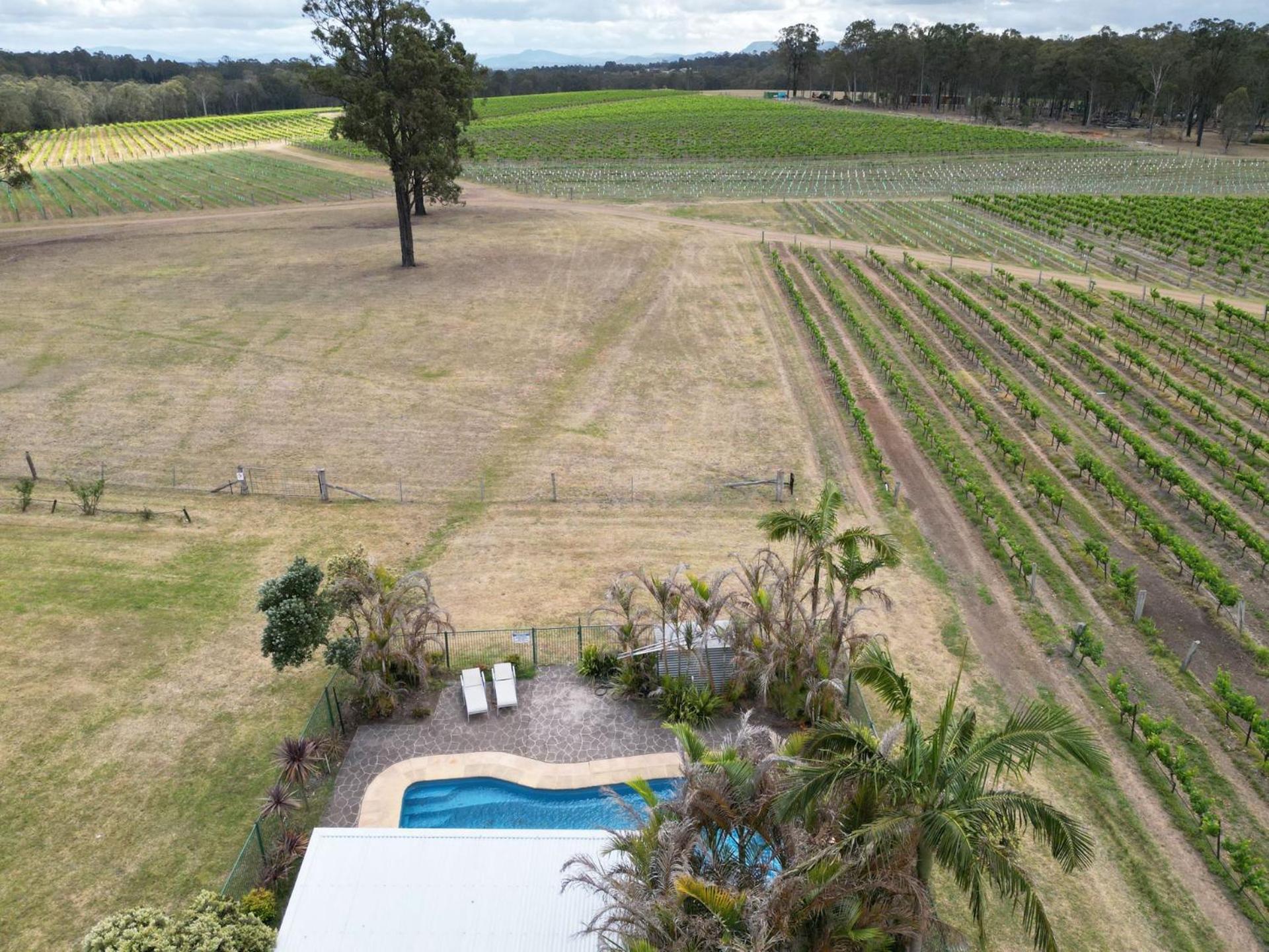 Ironbark Hill Estate Hotel Pokolbin Bagian luar foto